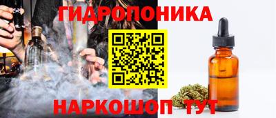 индика Нягань