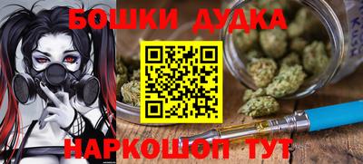 индика Нягань