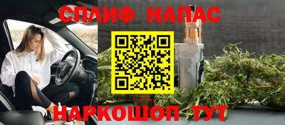 индика Нягань