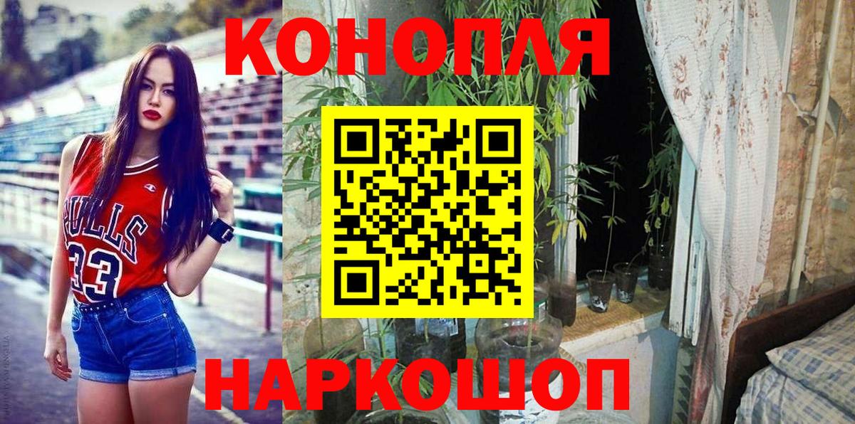 Конопля гибрид Усинск